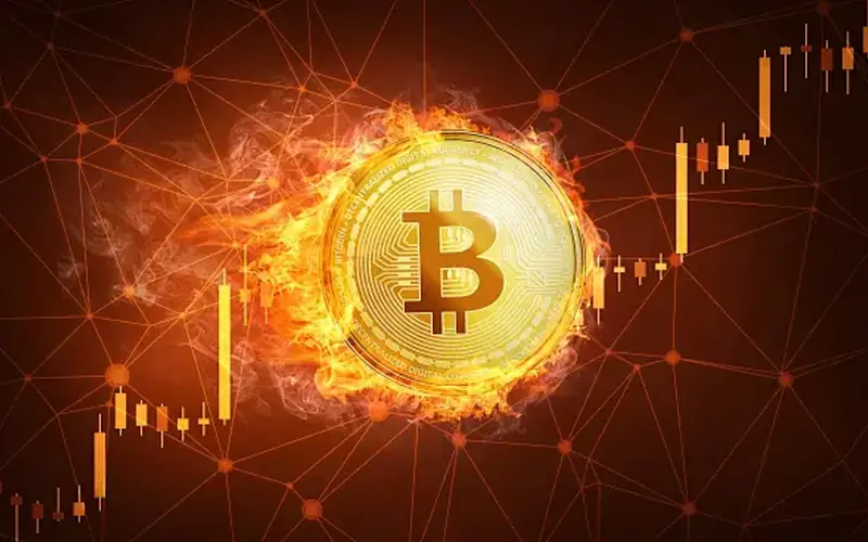 加密货币理财入门：如何选择理财产品